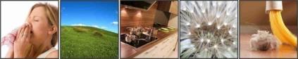 Indoor Air Quality